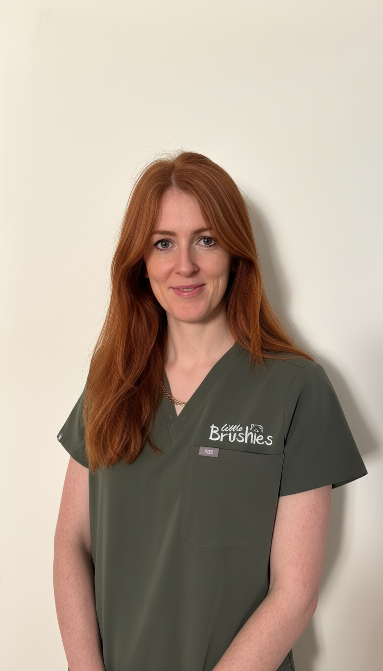 Dr Annie Dentist Little Brushies green scrub top with a logo on a plain background