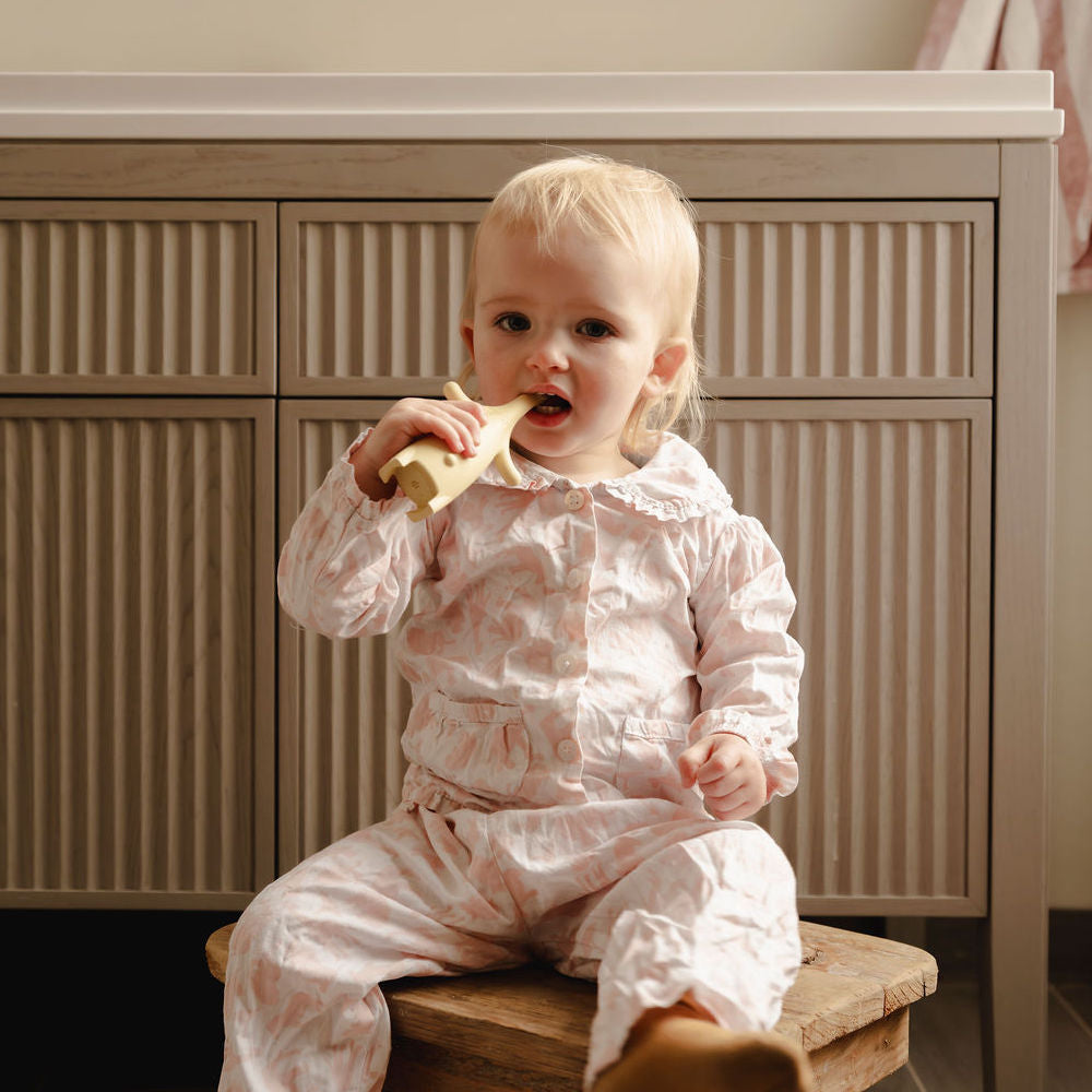 Why Early Oral Care Matters: The Science Behind the 0–4 Window