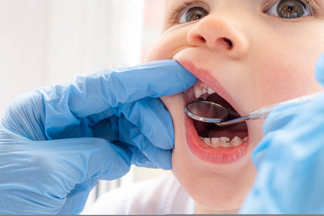 Their First Dentist Appointment: When to Go, What Happens, and Why It's Free